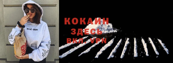 ПСИЛОЦИБИНОВЫЕ ГРИБЫ Белокуриха
