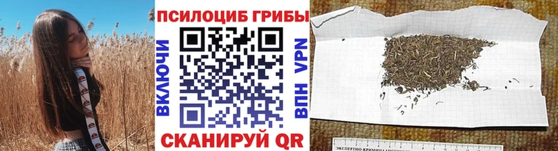 Псилоцибиновые грибы мицелий  Верещагино 